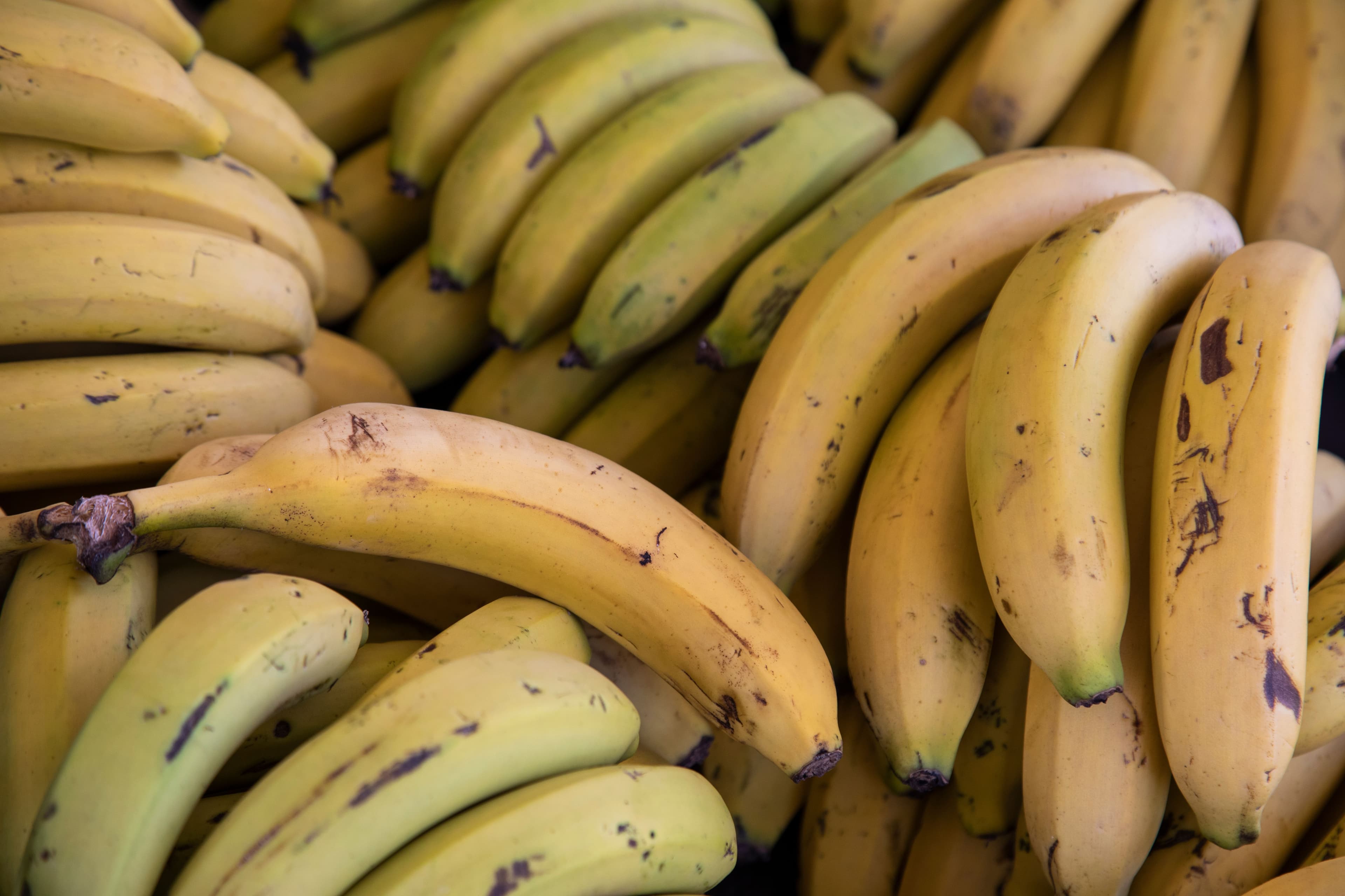 Fresh Banana sourced from India