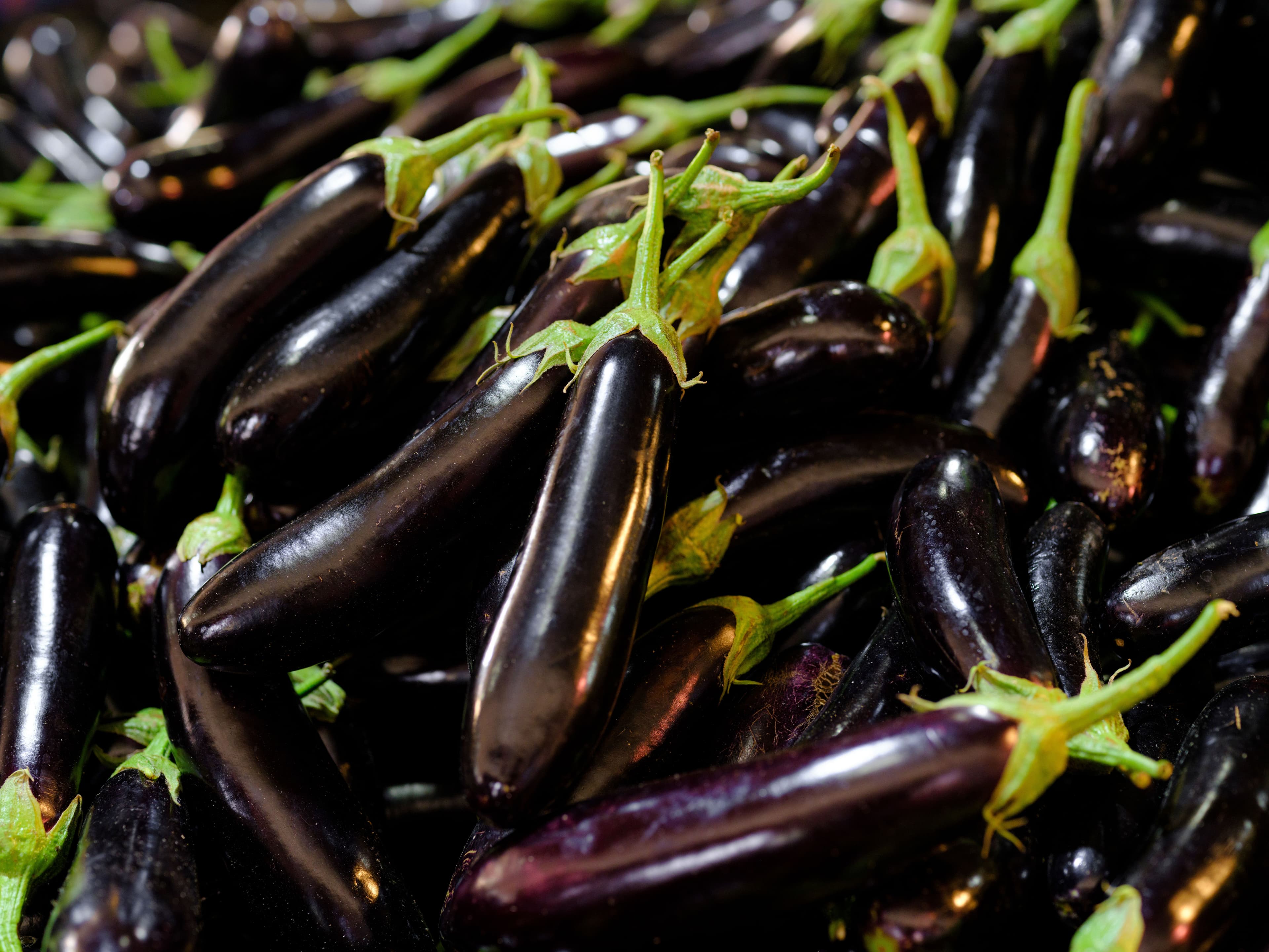 Brinjal / Eggplant sourced from India