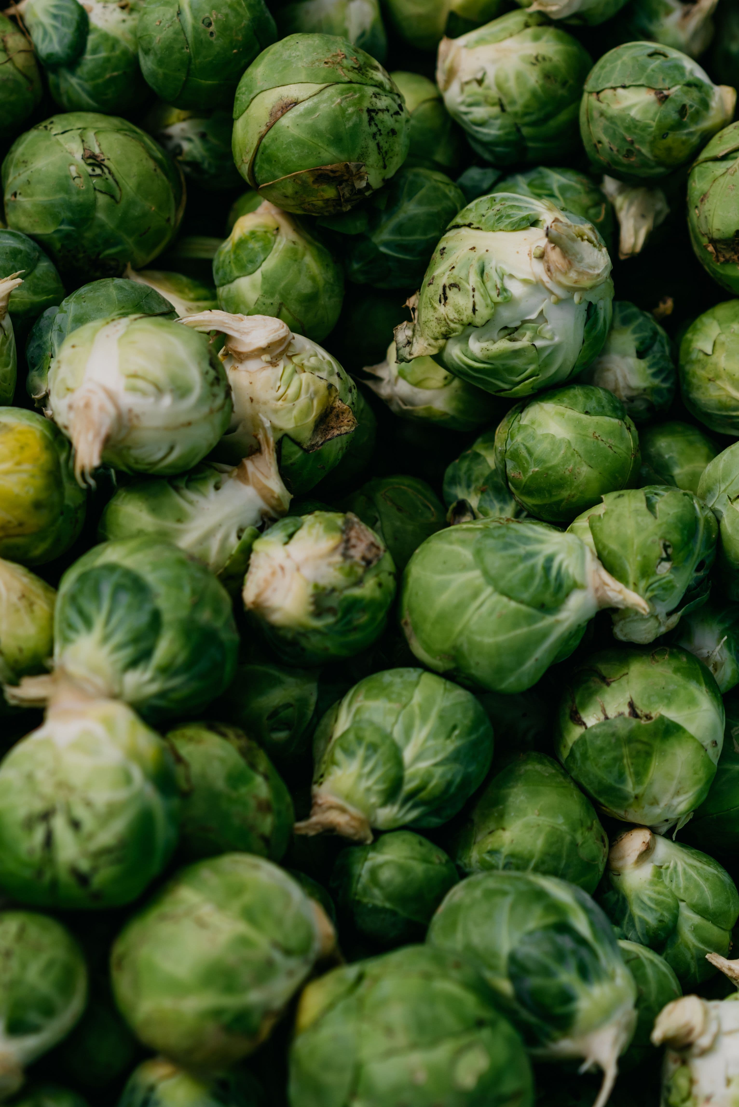 Cabbage sourced from India