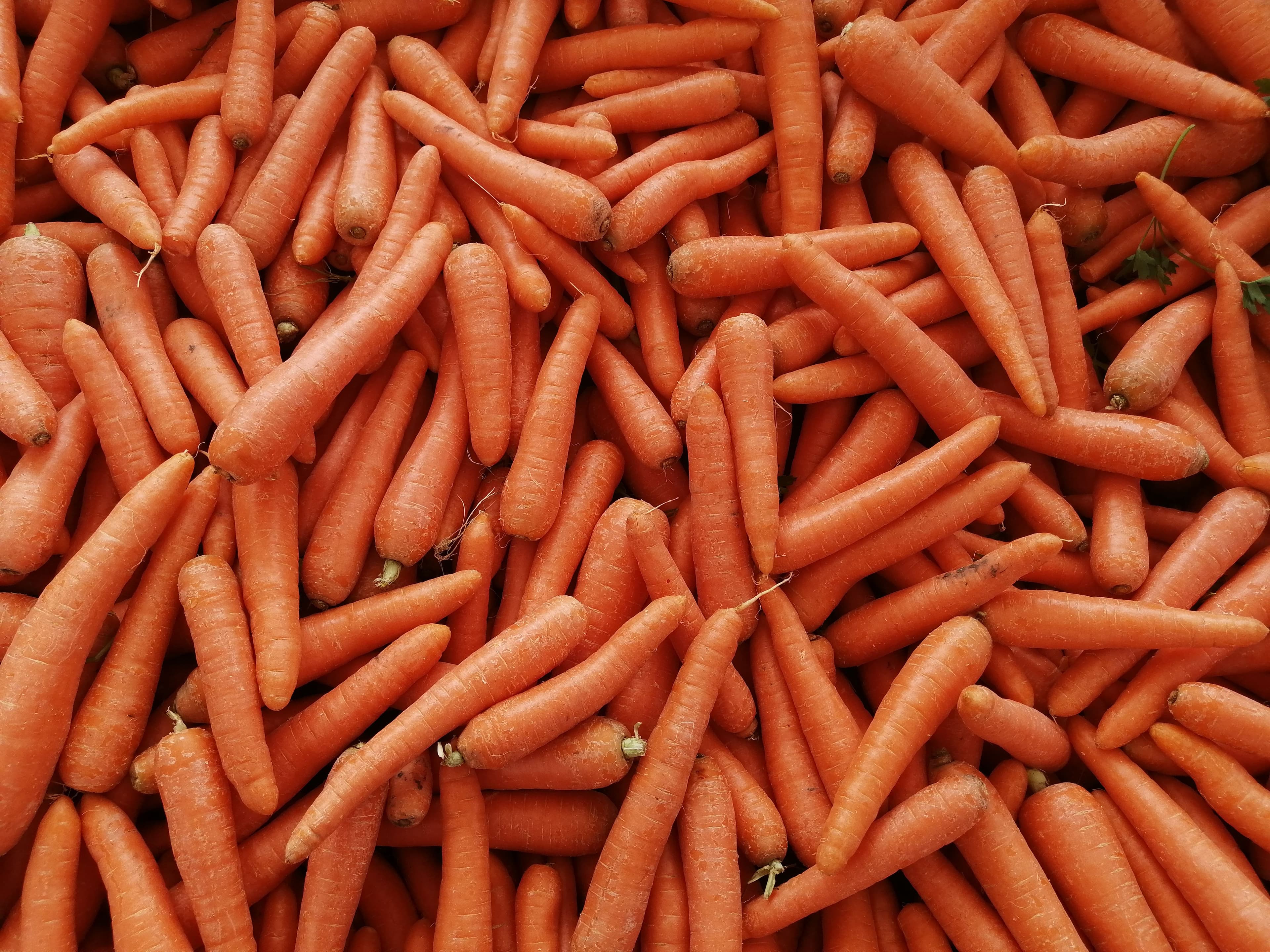 Carrot sourced from India