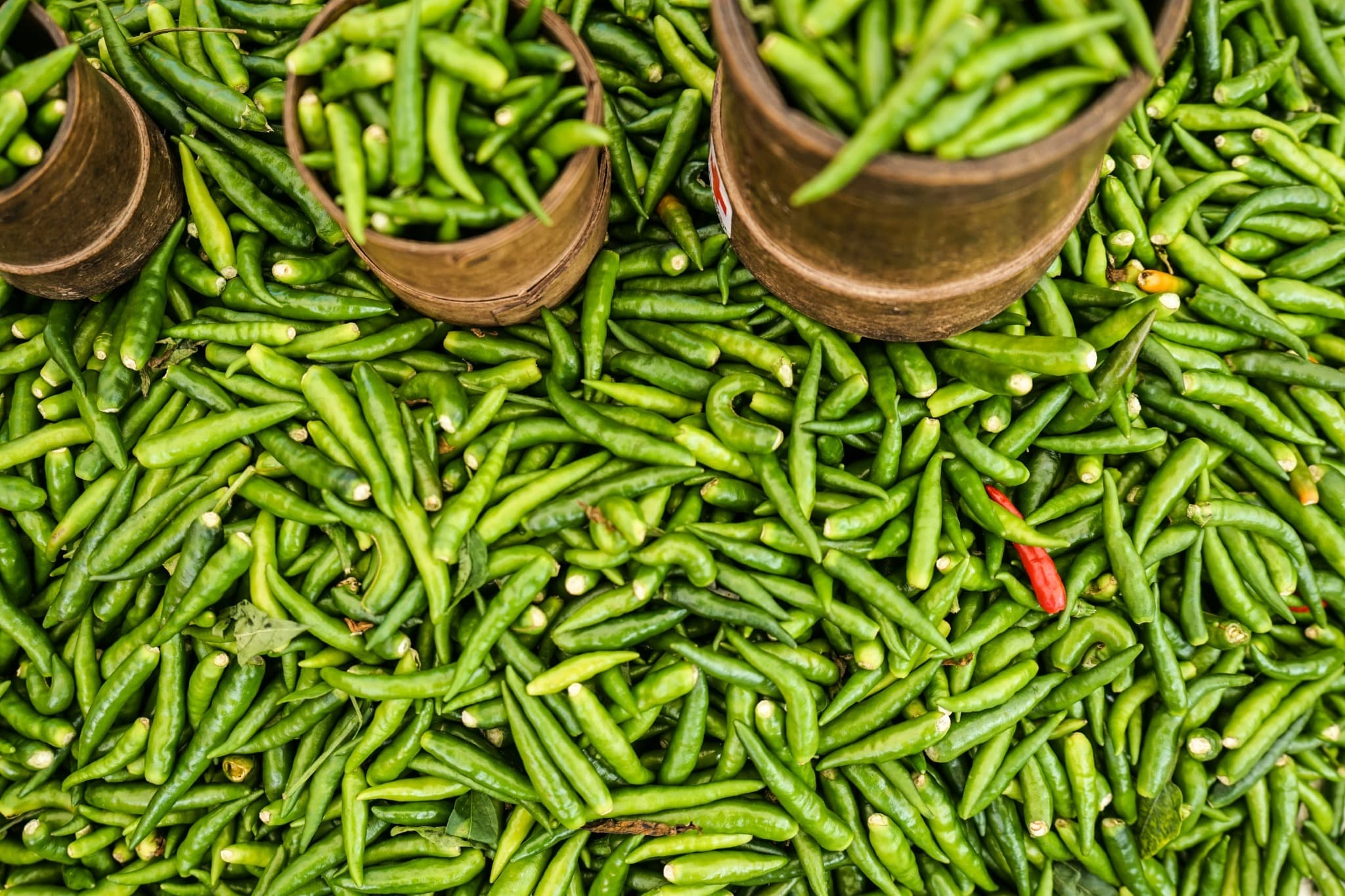Green Chilli