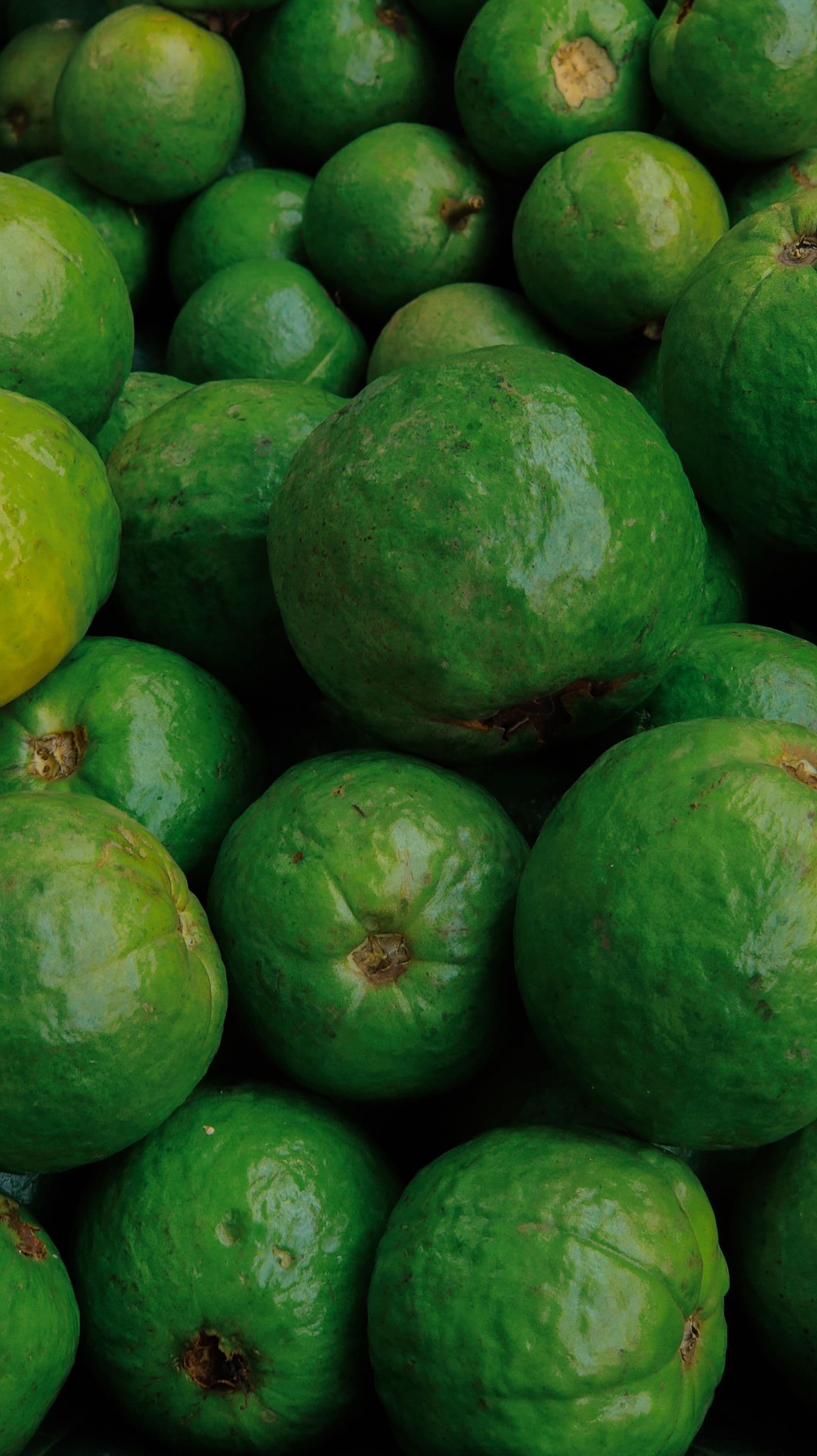 Guava sourced from India