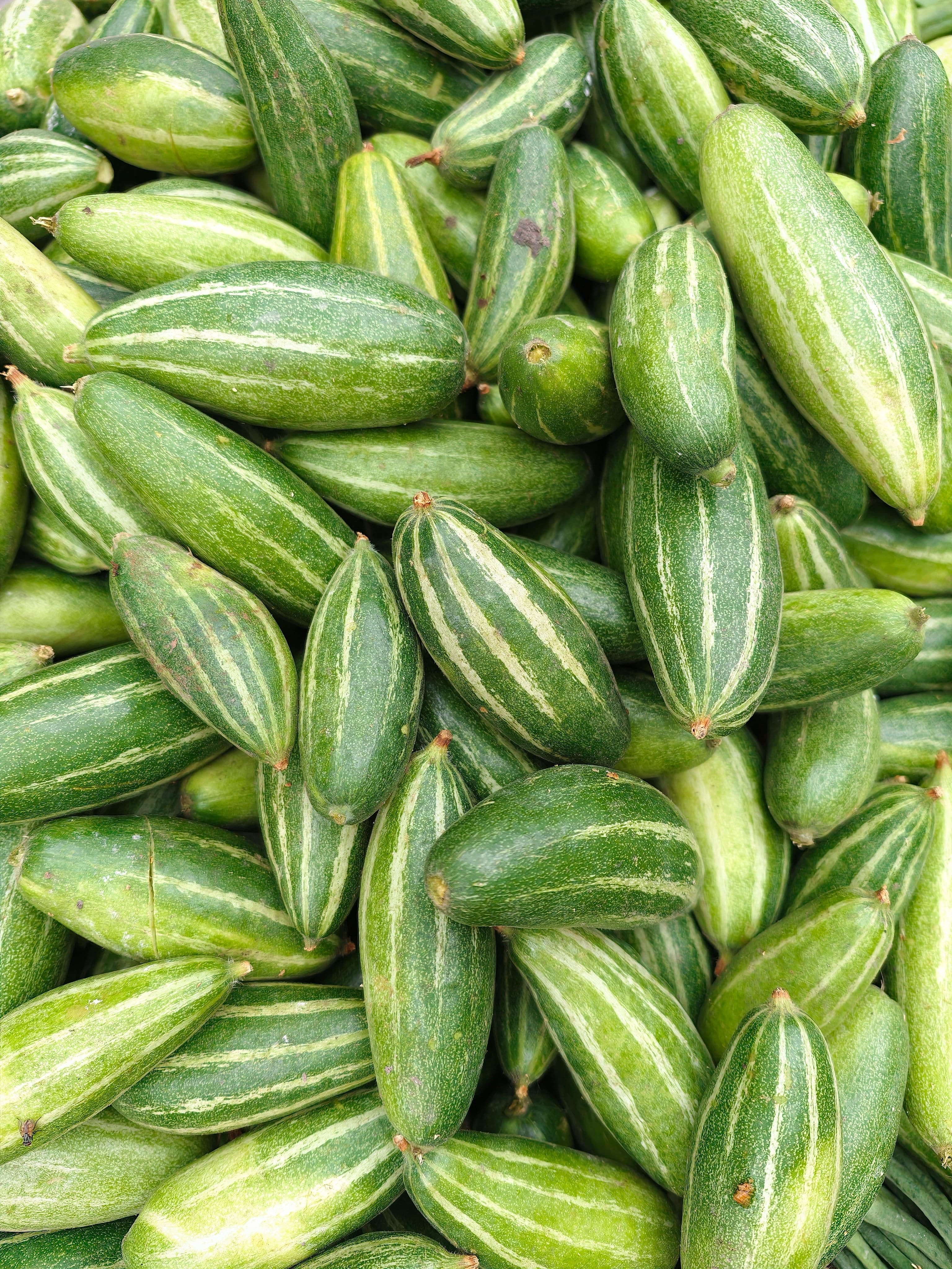 Ivy Gourd / Tindora sourced from India