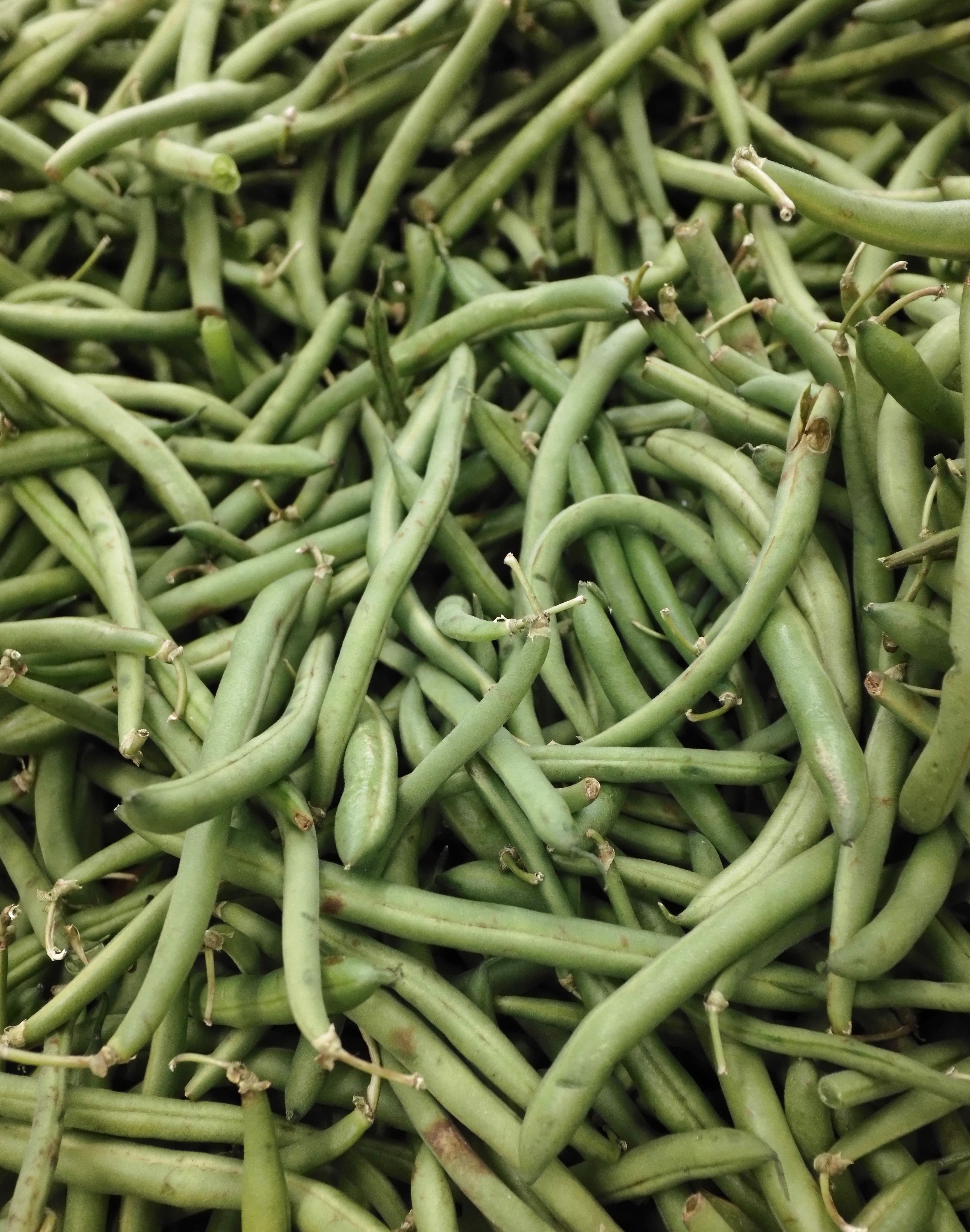 Long Beans / Yardlong Beans sourced from India