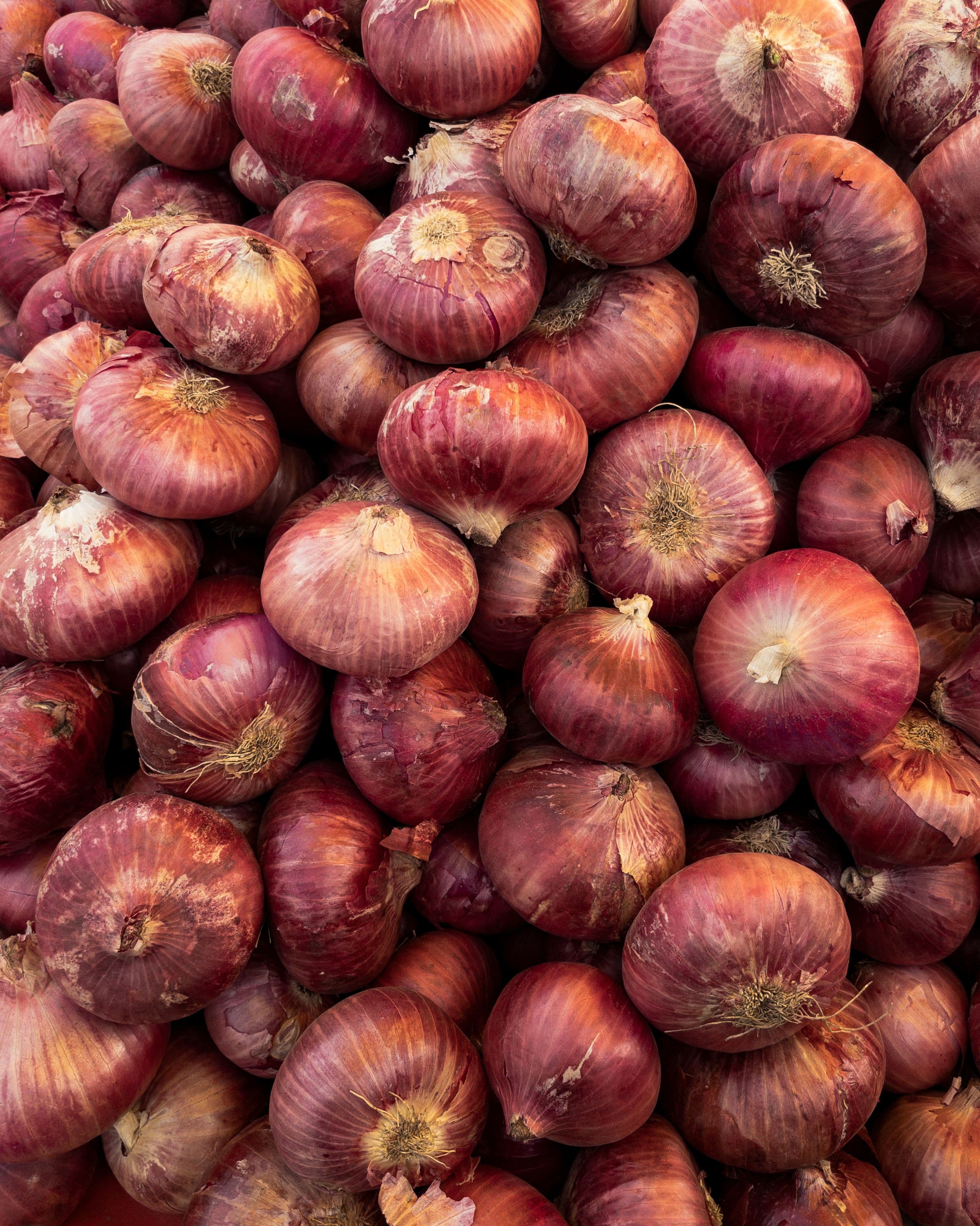 Fresh Onion sourced from India