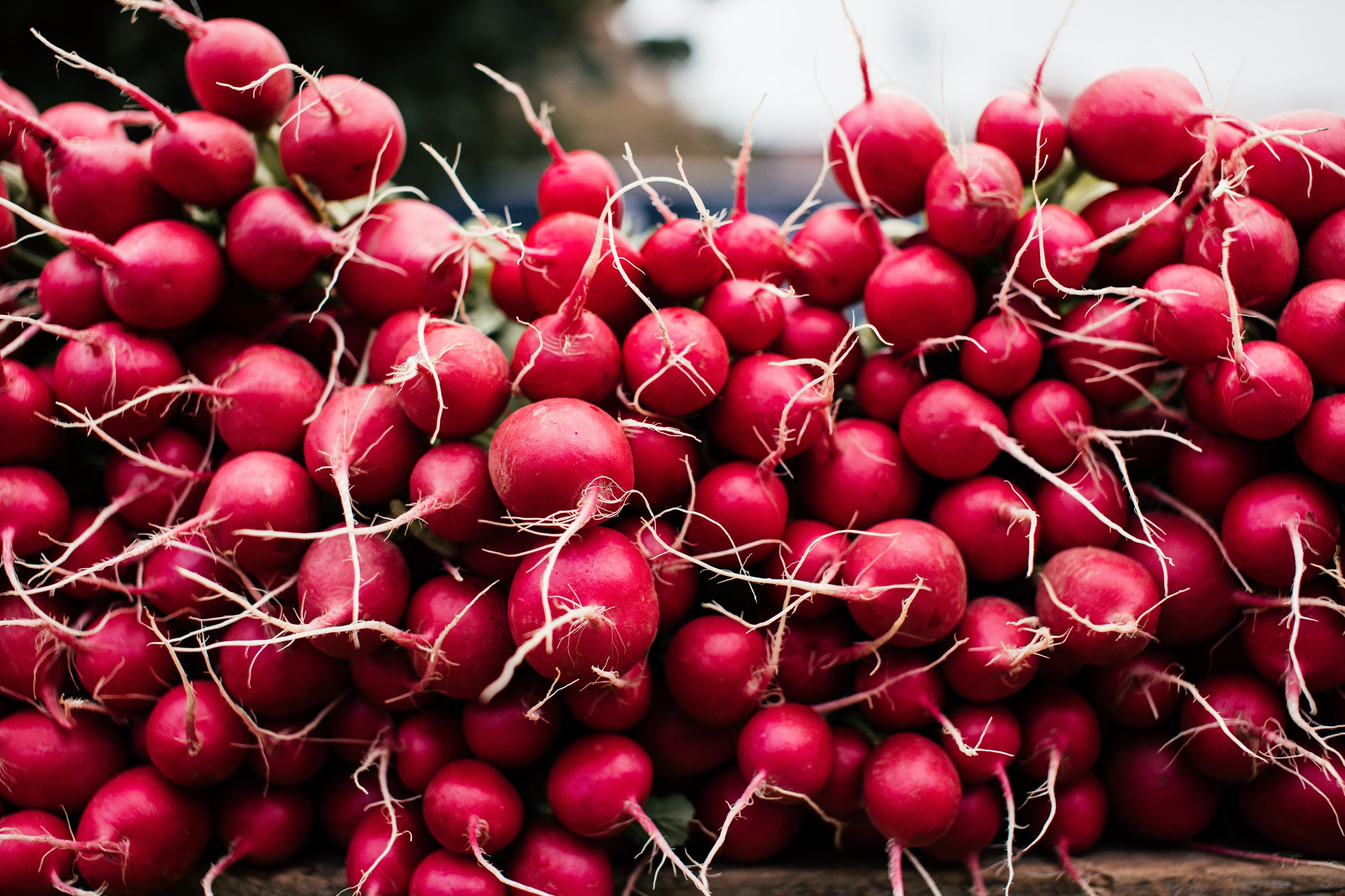 Radish sourced from India