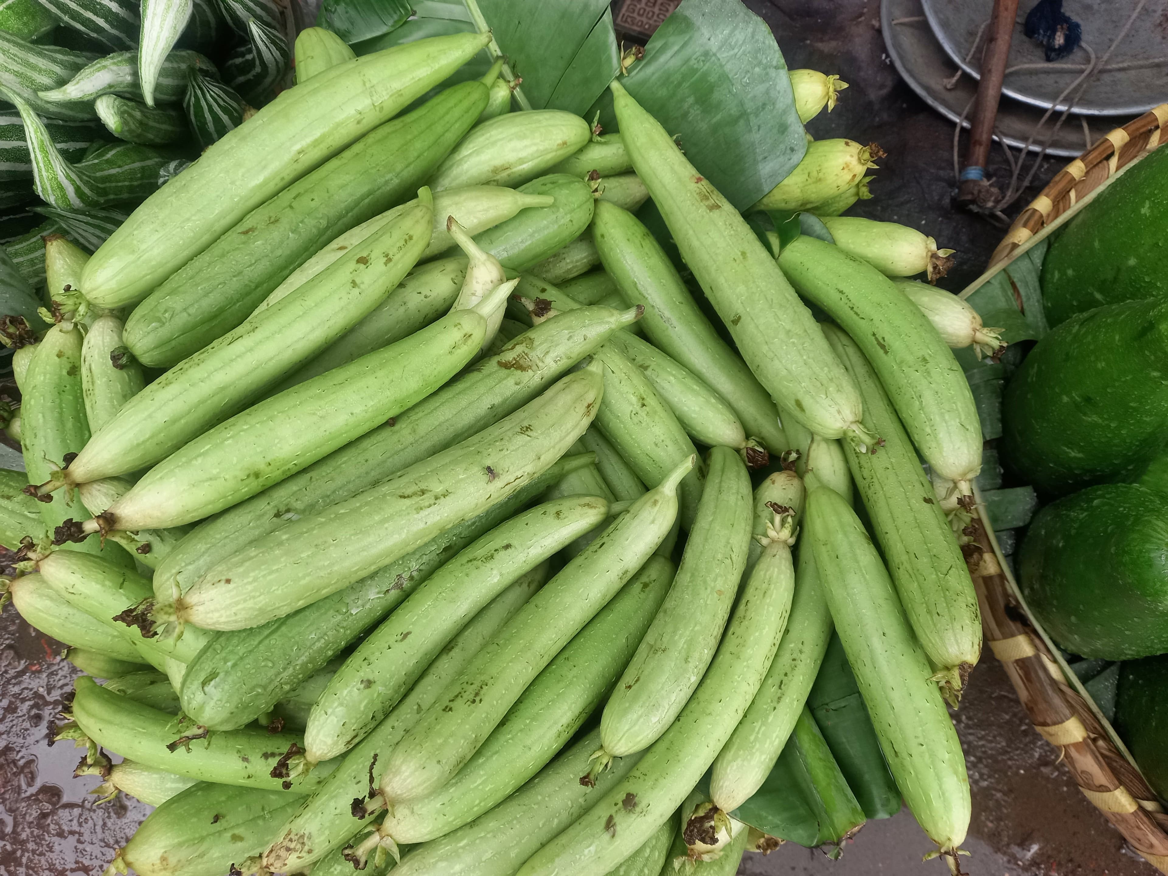 Ridge Gourd sourced from India